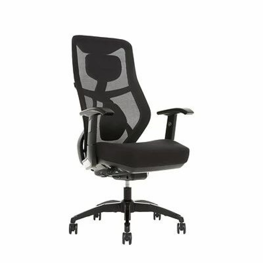 Chairs * | Office Chairs Beautyrest Duo-Ex Ergonomic Mesh Swivel Task Chair, Black/Gray (60051Gry)